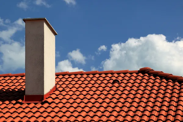 Professional Chimney Inspection